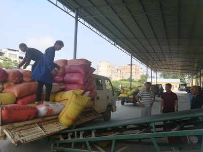 縣發改局強化夏糧收購監管與服務，筑牢糧食市場秩序與安全保障